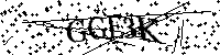 Por favor escriba las letras y números del CAPTCHA a continuación